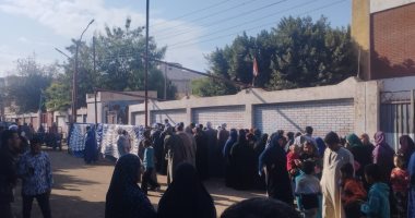 توافد الناخبين على لجان الانتخابات بالدائرة الأولى بالمنيا.. فيديو