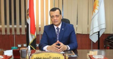 الدكتور محمد السيد 