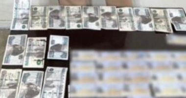 وزارة الداخلية تحبط محاولة سيدة توزيع أموال بمحيط لجان