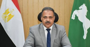 المهندس حازم الاشموني محافظ الشرقية