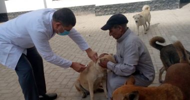محافظ الدقهلية حملات مكثفة لتحصين الكلاب الحرة ضد مرض السعار
