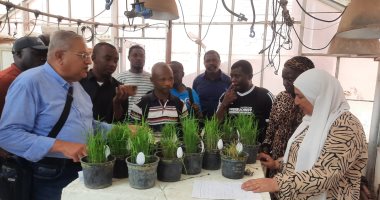 محافظ كفر الشيخ: الانتهاء من تدريب وفد من 10 دول أفريقية على تقنيات تحسين تقاوى الأرز