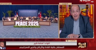 خبير استراتيجى: إسرائيل نفذت أكثر من 500 خرق منذ اتفاقية وقف النار بغزة