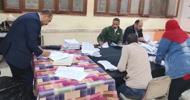 لقطات من فرز أصوات الناخبين فى انتخابات مجلس النواب بالجيزة