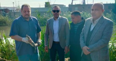 الإمساك بتمساح مصرف الزوامل