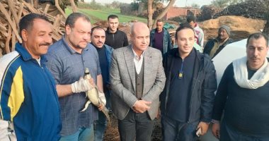 تمساح الزوامل