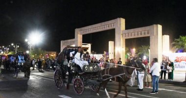 أسوان تشدد على تركيب حفاضات للأحصنة ضمن منظومة ضبط عمل الحنطور