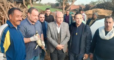 تمساح الزوامل