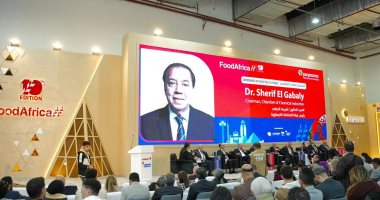 رئيس شعبة الكيماويات: صناعة البلاستيك تواجه تحديات عالمية