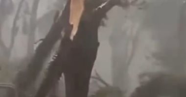 الرياح القوية فى البرازيل