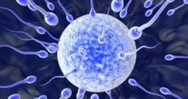 الحيوانات المنوية