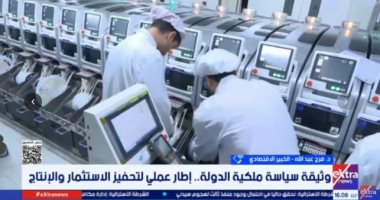 خبير اقتصادي: تحديث وثيقة ملكية الدولة يعزز الاستثمار والإنتاج