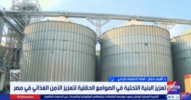 خبير: الدولة تستهدف وصول السعة التخزينية للقمح لـ6 ملايين طن