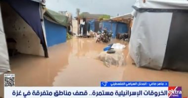 ماهر صافى: دور مصر محوري في الدفاع عن الثوابت الفلسطينية وحشد الدعم