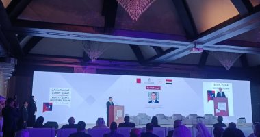 وزير الاستثمار: 3.5 مليار دولار استثمارات للشركات القطرية في مصر