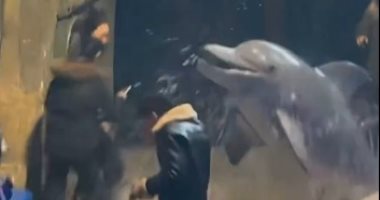 حقيقة ولا Ai؟.. حوت أبيض يفاجئ شاب ويطفئ سيجارته برش الماء عليه "فيديو"