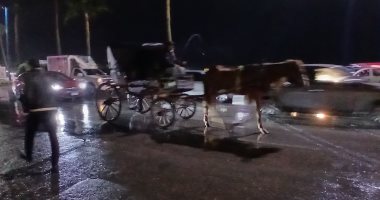 نوة الفيضة الصغري تضرب الإسكندرية بأمطار غزيرة.. فيديو