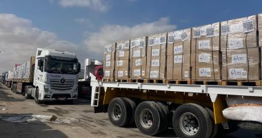قافله مساعدات إنسانية وغذائية تضم 190 شاحنة تمر من معبر رفح باتجاه غزة