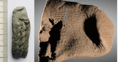 اكتشاف بصمة إصبع أحد الغزاة البحريين على أقدم قارب فى الدنمارك