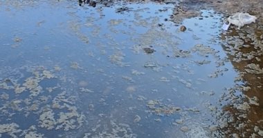 مياه مجهولة تغمر منازل حاجر الطويرات بقنا.. وتدخل حكومى لكشف السبب (صور)