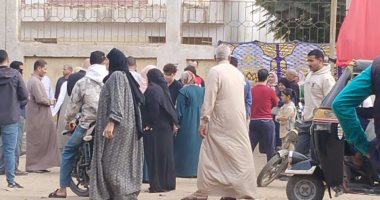 397 لجنة فرعية بالقليوبية تفتح أبوابها بجولة الإعادة بانتخابات مجلس النواب