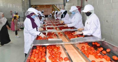 كيف دعمت هيئة تنمية الصعيد مجمعات صناعية حرفية وغذائية لتجفيف الطماطم بالأقصر؟