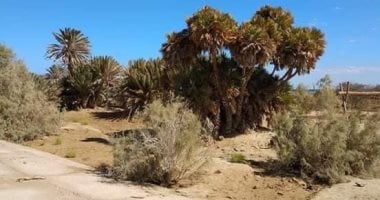 تستقبل مياه السيول