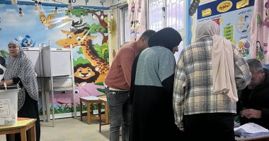 إقبال واسع فى بركة السبع.. أسر كاملة تشارك بجولة إعادة انتخابات النواب.. صور