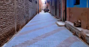 ضمن خطة التنمية المحلية.. استمرار تركيب الإنترلوك بشوارع طهطا وساحلها