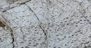 العثور على آلاف آثار أقدام ديناصورات قرب أولمبياد إيطاليا 2026.. فيديو