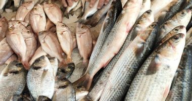 البلطى بكام النهاردة؟.. أسعار وأنواع الأسماك فى أسواق الإسكندرية