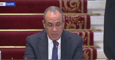 وزير الخارجية: العلاقات مع روسيا شهدت طفرة استراتيجية على جميع الأصعدة