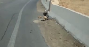 إصلاح الهبوط الأرضي بطريق السويس وإعادة فتح الطريق بالقاهرة