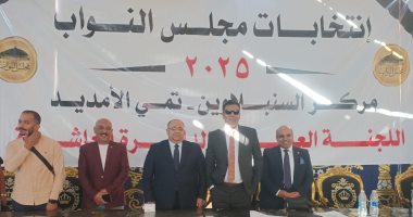 الحصر العددى للسنبلاوين وتمى الأمديد بالدقهلية.. تقدم النبوى وفودة.. فيديو