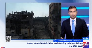 أستاذ علوم سياسية: تحركات مصرية مكثفة للانتقال للمرحلة الثانية من اتفاق غزة