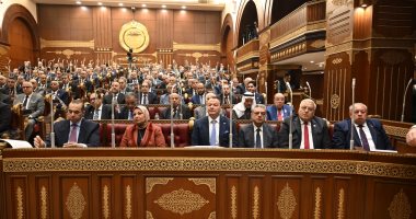 المستشار محمود فوزي