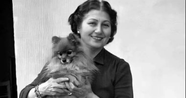 حكاية قصر الأميرة فوقية.. من عزلة الأميرة إلى مقر قضائي يحتضن مجلس الدولة