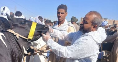 تحصين 480 ألف طائر و294 ألف رأس ماشية من الأمراض الوبائية خلال عام 2025