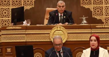 رئيس مجلس الشيوخ: التعاون مع الحكومة ليس ترفا بل ركيزة لنجاح العملية التشريعية