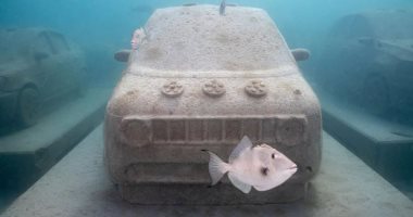 متنزه مفتوح.. سيارات خرسانية تحت الماء لإنعاش الشعاب المرجانية بفلوريدا