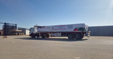 تسيير قافلة مساعدات لإغاثة أهل غزة محُملة بأكثر من 350 طن مساعدات.. صور