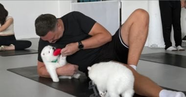 لو زهقان من الشغل.. جلسة يوجا مع الكلاب لتخفيف التوتر بـ60 دولارا 