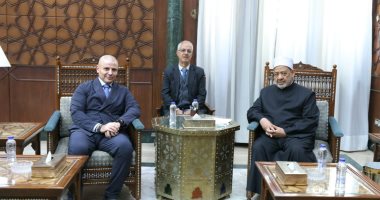 شيخ الأزهر: القضية الفلسطينية بلغت حدا خطيرا من الظلم لا يقبل معه الحياد