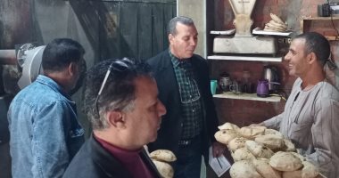 مخالفات متنوعة خلال حملات تموينية بمدينة الإسماعيلية والقنطرة غرب