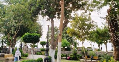 محافظ أسوان: رفع كفاءة ونظافة الحدائق استعدادا للكريسماس وأعياد الميلاد