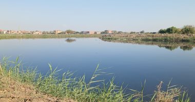 فريق من البيئة يواصل الفحص للتأكد من وجود تمساح جديد بالشرقية