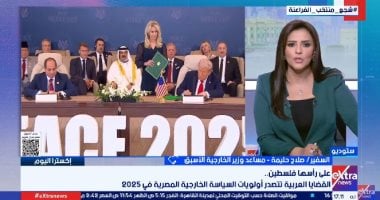 صلاح حليمة: السياسة الخارجية المصرية في 2025 تقوم على الأمن والتنمية