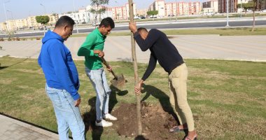 التنمية المحلية: نستهدف زراعة 5 آلاف شجرة بمحاور وشوارع السويس