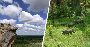 السنغال Vs بوتسوانا.. أماكن تراثية بالدولتين ضمن قائمة اليونسكو