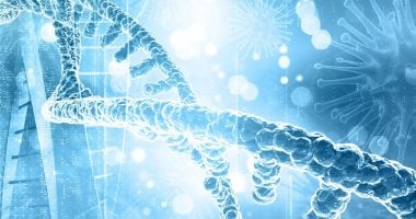 اكتشاف جين يهدئ نشاط الدماغ ويعزز القدرة على الانتباه